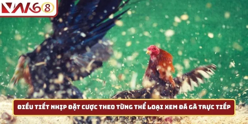Điều tiết nhịp đặt cược theo từng thể loại xem đá gà trực tiếp